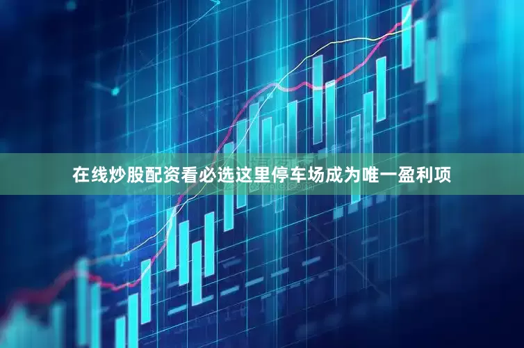 在线炒股配资看必选这里停车场成为唯一盈利项