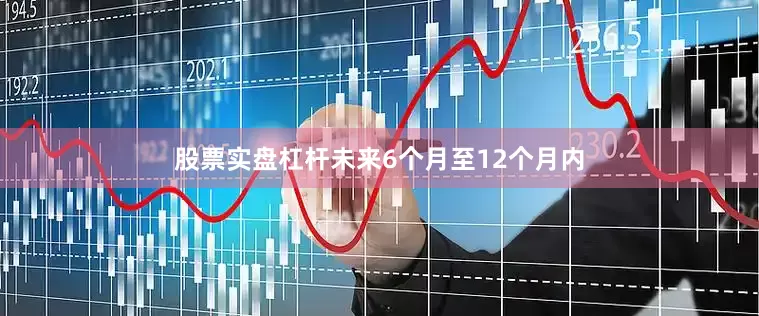 股票实盘杠杆未来6个月至12个月内
