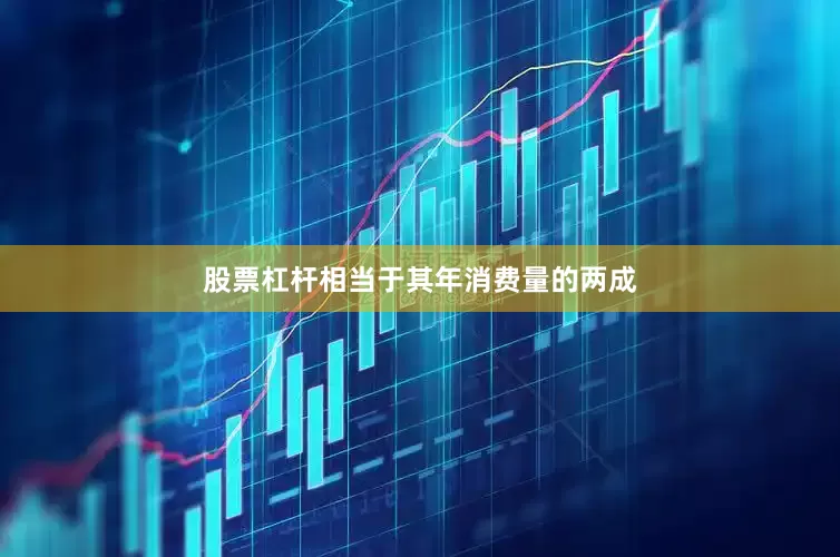 股票杠杆相当于其年消费量的两成