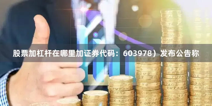 股票加杠杆在哪里加证券代码：603978）发布公告称